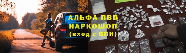 сатива Алексин