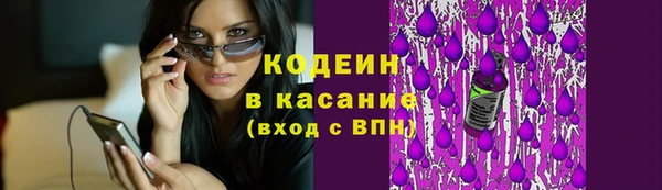 гашик Алзамай