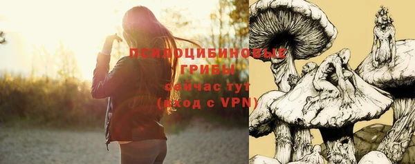 бошки Алексеевка